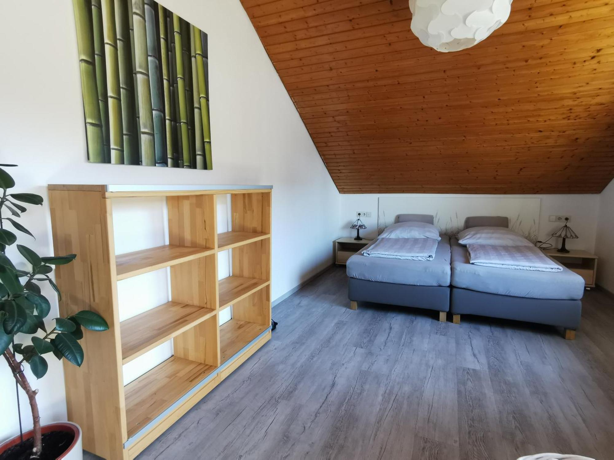 Magnolie In Apartment Langenargen