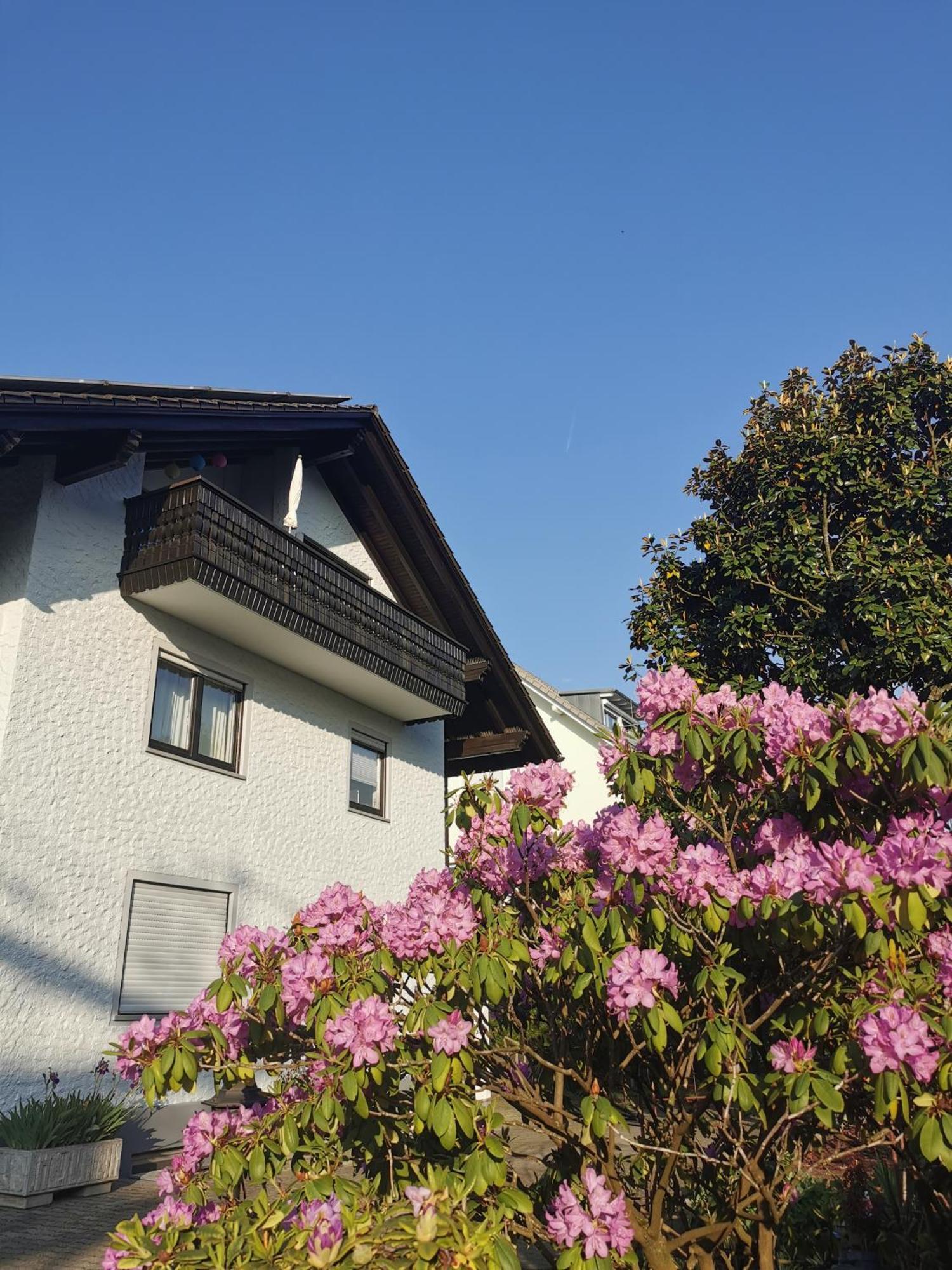 Magnolie In * Langenargen